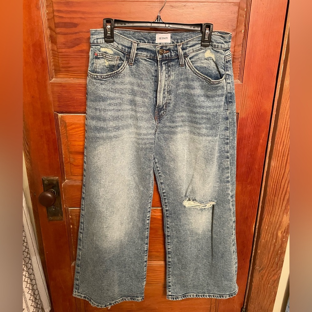 Hudson Jeans Jolene Wide Leg Ankle jeans in the Cather wash.